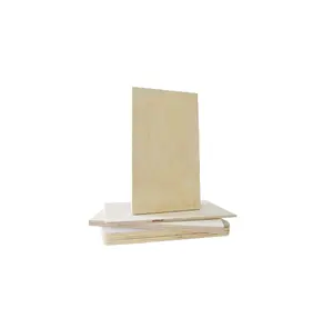 High Grade Melamine Laminated Plywood Board/White Melamine Faced Ply Wood for Wardrobe Best Price