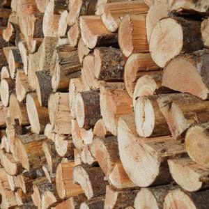 Leña seca de bajo contenido de humo, troncos de madera dura secos y partida para la venta en Europa - Product Image 1