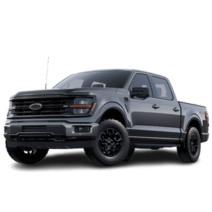 Pick-up électrique pleine grandeur d'occasion 2025, le plus vendu, au prix d'usine, en bon état - Product Image 1