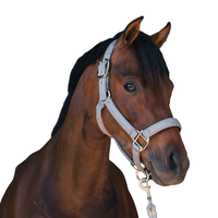 Licol de cheval à paillettes en nylon personnalisé avec selle anglaise Accessoires de participation de style équipement de cheval y compris la bride pour EquineCare