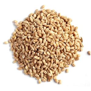 Grains d'orge de haute qualité pour le malt |   Orge pour l'alimentation animale disponible à la vente à bas prix - Product Image 5