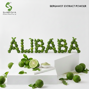 Polvo de Extracto de Bergamota Cítrica B2B para Suministro a Granel a Marcas de Alimentos, Bebidas y Bienestar - Product Image 6