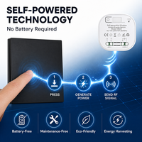 Interrupteur sans fil auto-alimenté, sans batterie, sans câblage, interrupteur à énergie cinétique, fournisseur OEM ODM, fabricant B2B