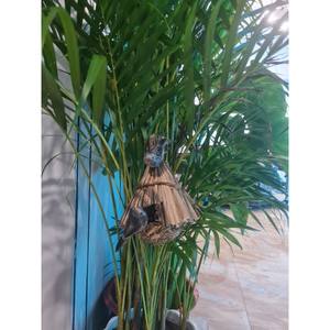 Maison d'oiseau tissée à la main en jonc de mer avec motif animal hamac suspendu naturel balançoire nid oiseau perroquet Tunnel avec trous et tente - Product Image 6