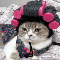 Sombreros de Ganchillo Divertidos para Mascotas, Personalizables al por Mayor, para Disfraces de Halloween, para Perros y Gatos
