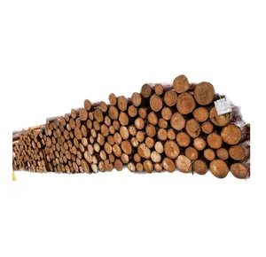 Best Quality Cheap Product Careful Buyers Round Timber Hinoki Wood Logs