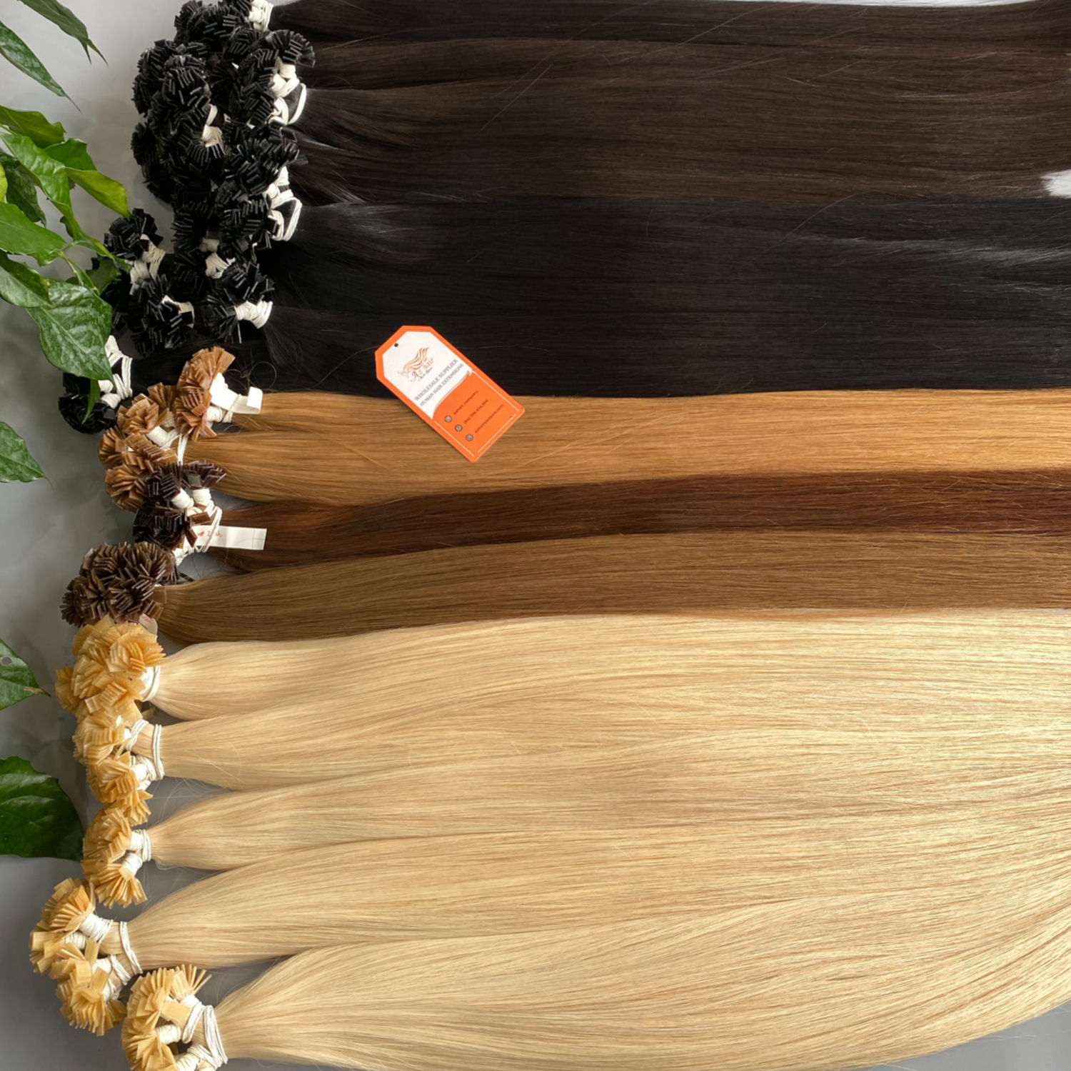 เคราติน3