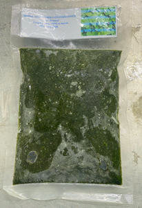 Hojas de yuca congeladas vietnamitas listas para cocinar para exportar a mercados de alimentos africanos y caribeños - Product Image 5