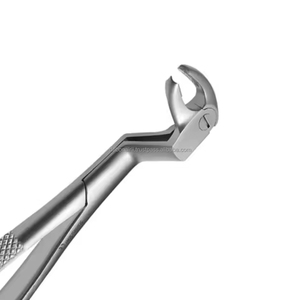 Ensemble d'extraction dentaire manuel en acier inoxydable durable, 10 pièces, pinces à dents, instruments chirurgicaux buccaux, kit pour hôpital, clinique, en vrac - Product Image 5