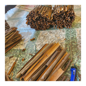 แท่งอบเชยเปลือกธรรมชาติแบบแยกส่งออก - Product Image 3