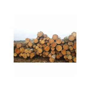 Tableros de madera maciza industriales modernos de alta calidad Acacia Pino Roble Haya Goma Madera Arce Palisandro Cerezo Olmo Nogal - Product Image 5