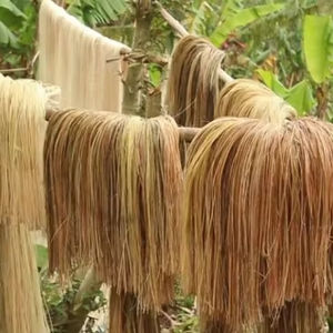 MEJOR PRODUCTO hecho en VIETNAM-FIBRA DE BANANA-VIETNAM DE ALTA CALIDAD - Product Image 1