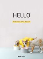 Bol pour animaux de compagnie en céramique artisanale de luxe coréen, non automatique, pour chats et chiens, en porcelaine, forme arrondie, utilisation en intérieur