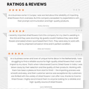 Arreglo de Flores Secas Popular de Primera Calidad Hecho a Mano con Varitas de Palma para Bodas, Halloween, Graduaciones, Eventos en el Hogar y Decoración de Oficina - Product Image 2