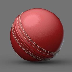 Balles en cuir de cricket personnalisées de niveau international avec logo personnalisable de haute qualité - Product Image 1