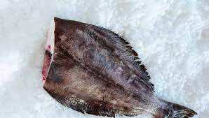 Halibut du Groenland IQF Congelé en Vrac, Qualité Premium, Processus BQF, 100% Frais, Certifié ISO HACCP HALAL, 0,03 kg, Origine Canada, Disponible à la Vente - Product Image 6