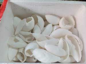 มะพร้าวแช่แข็งเหมาะสำหรับผู้ผลิตและผู้ค้าส่งที่กำลังมองหาคุณภาพระดับสูงในราคาถูกจากซัพพลายเออร์ราย99GD - Product Image 4