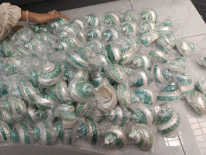 Tendance chaude Souvenir naturel Turbo perle coquille artisanat vert poli coquille Animal Style décor nautique cadeau fait main - Product Image 4