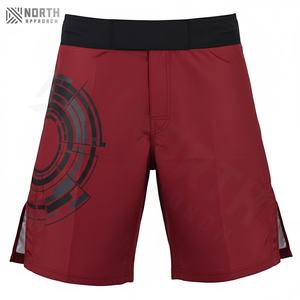 Shorts de sport en maille personnalisés de haute qualité, design tendance, vente chaude, OEM, imprimés, pour le basketball, la course à pied, la salle de sport, pour hommes, été - Product Image 2