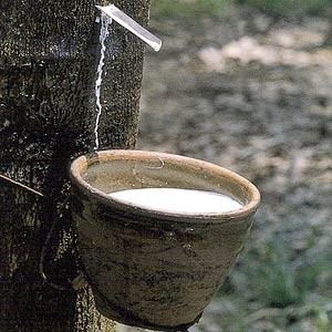 Uso industrial de grado HA de látex de caucho natural, origen de Vietnam - Product Image 5