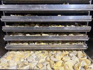 Durian Liofilizado Crujiente al Por Mayor, Sabor Natural, Grado Premium, Suministro a Granel - Sra. Tarina - Product Image 6