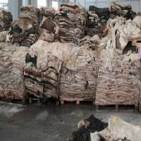 Peaux de vache brutes salées de haute qualité, cuir de vache naturel à bas prix de gros - Product Image 5
