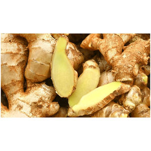 Jengibre Fresco de Nueva Cosecha en Venta - Raíz de Jengibre de Calidad Superior - Sabor Picante y Fragante - Exportadores de Jengibre - Product Image 5