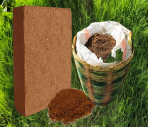 บล็อก COCO พรุ5กก. พร้อมฮอร์โมนทำลายจากธรรมชาติและป้องกันเชื้อราเหมาะสำหรับการทำสวนและการเพาะปลูกขนาดใหญ่ - Product Image 5