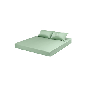 Parure de lit en bambou biologique menthe premium 300TC 60S, 3 pièces, 2 taies d'oreiller, housse de matelas élastique, légère, douce et lisse - Product Image 1