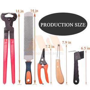 Kit d'outils de maréchal-ferrant professionnel pour le soin des sabots de cheval, ensemble durable en acier inoxydable, kit d'outils de maréchal-ferrant de qualité supérieure - Product Image 3