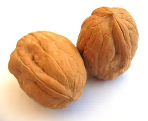 Fresh production Walnut Kernel halve / New harvest walnuts supplier