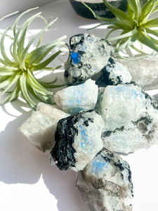 BT SELFASHHNBW MTOONE ROUSE E FF - Product Image 6