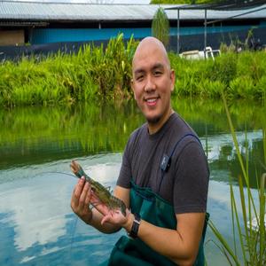 Hệ thống nuôi trồng thủy sản tuần hoàn RAS thiết bị nuôi tôm càng xanh trong thiết kế hệ thống nuôi cá chất lượng cao - Product Image 1