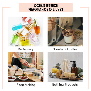 <b>Ocean</b> Breeze Fragrance Oil - Product Image 4