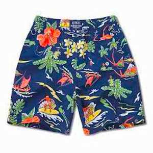 Pantalones cortos de playa para hombre, ropa informal de lujo, lisa, impermeable, personalizada, de verano, FEDEX OEM Sea, superventas, novedad de 2020 - Product Image 1