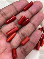 Capsule de pierre précieuse en corail italien naturel de qualité supérieure 200 Ct