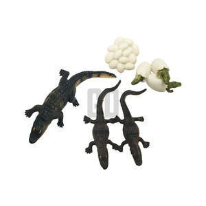 Cycle de croissance de l'alligator, donnez vie à un apprentissage animal réaliste - Product Image 1