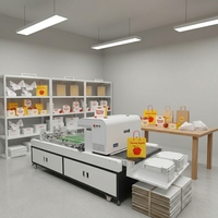 Imprimante numérique industrielle à jet d'encre Tianji 9003 haute vitesse 30 m/min pour boîtes en carton ondulé, impression en une seule passe pour les pizzas