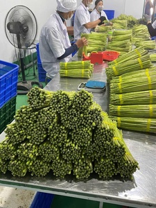 2025มีหน่อไม้ฝรั่งสีเขียวมาตรฐานส่งออกการเก็บเกี่ยวสด - Product Image 2