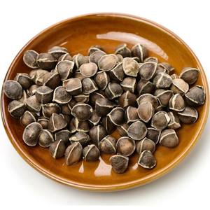 Graines de moringa les plus vendues à prix compétitif, vente en gros de graines de moringa oleifera pour les acheteurs en vrac - Product Image 1