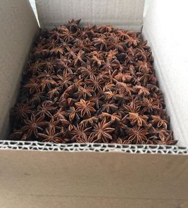 Semillas de Anís Estrellado de Vietnam, Temporada Otoño 2025, Alta Calidad para la Producción de Condimentos y Especias +84 865 216 698 (Sra. Lucy) - Product Image 4