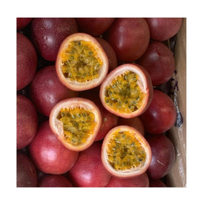 ชามสมูทตี้ผลไม้เขตร้อนตัดทั้งชิ้นหรือครึ่งหนึ่งสำหรับโรงงานเครื่องดื่ม - Product Image 4