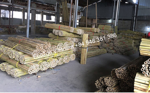 ไม้ไผ่ในเวียดนาม ไม้ไผ่แท่ง/ไม้ไผ่สำหรับธูป/ไม้ไผ่สำหรับเสียบอาหาร ขายส่งและราคาถูกที่สุด - Product Image 5