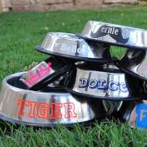 Comedero Doble de Metal para Mascotas, Juego de Platos de Acero Inoxidable para Perros y Gatos, Base Antideslizante, Plato Antiderrames para Comida de Mascotas - Product Image 2