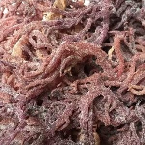 Gel d'algues marines 100% biologique/ Algues marines irlandaises violettes séchées//Tracy +847 708128919 - Product Image 5