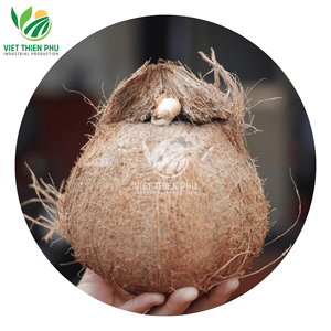 Viet Thien Phu-มะพร้าวสดกึ่งเปลือกคุณภาพสูงส่งตรงจากเวียดนาม - Product Image 1