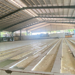 Polvo de Látex SVR3L a Bajo Precio Directamente de Fábrica para Suelas de Calzado y Componentes de Zapatos, Estándar Vietnamita - Product Image 2