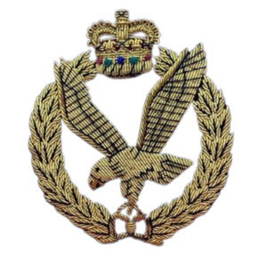 Insignias del Cuerpo Aéreo Bordadas a Mano en Alambre, Reproducción de Uniformes Hechos a Medida, Venta al por Mayor - Product Image 1