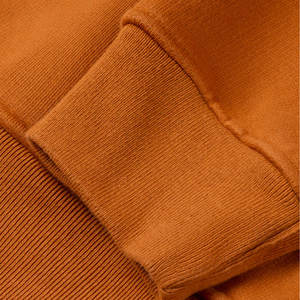 Sudadera personalizada de alta calidad con capucha pulóver 100% algodón Sudadera con capucha para hombre grueso polar francés Terry de gran tamaño sudaderas con capucha de peso pesado - Product Image 6