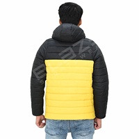Blaze Fight Wear personnalisé hiver hommes col montant coupe-vent garder au chaud à capuche ultraléger 800 remplissage puissance oie doudoune